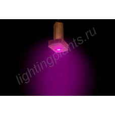 Полноспектровый 10Вт фитосветодиод на радиаторе LED grow light "Мерак"